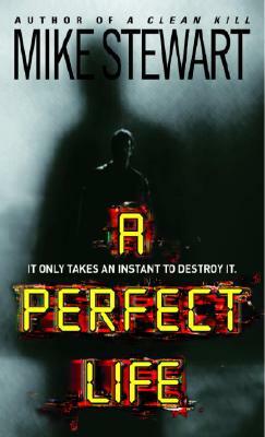 A Perfect Life by Mike Stewart