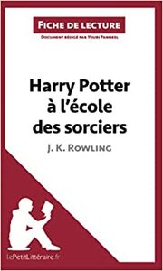 Harry Potter à l'école des sorciers de J. K. Rowling by Youri Panneel, le Petit Littéraire