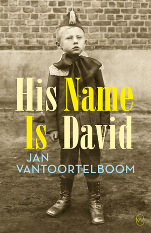 His Name Is David by Vivien D. Glass, Jan Vantoortelboom