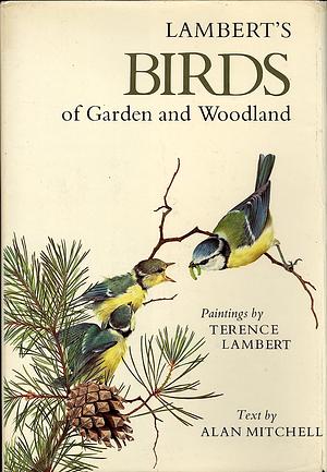Lambert's Birds of Garden and Woodland by Alan F. Mitchell, Terence Lambert