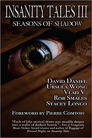 Insanity Tales III: Seasons of Shadow: A Collection of Dark Fiction by Rob Smales, Ursula Wong, Vlad Vaslyn, Stacey Longo, David Daniel
