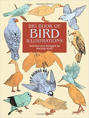 Big Book of Bird Illustrations by Maggie Kate
