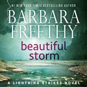 Beautiful Storm by Barbara Freethy