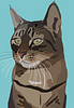 jentax's profile picture