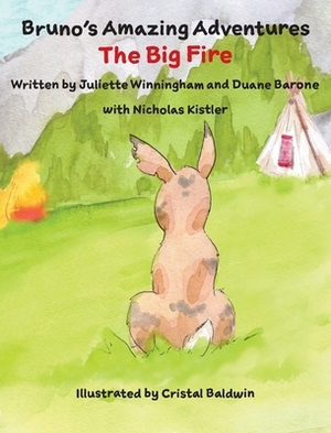 The Big Fire by Duane Barone, Juliette Winningham