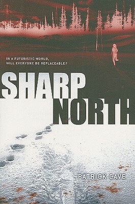 Sharp North by Patrick Cave