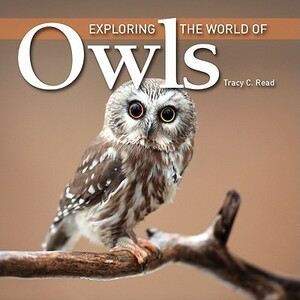 Exploring the World of Owls by Tracy Read