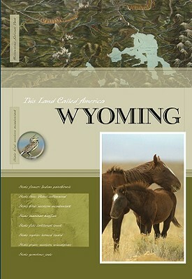 Wyoming by Rachael Hanel