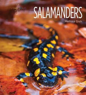 Salamanders by Melissa Gish