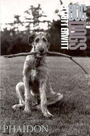 Elliott Erwitt: Dog Dogs by Elliott Erwitt, Elliott Erwitt