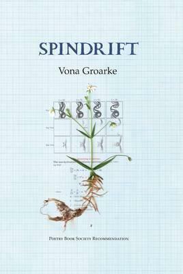Spindrift by Vona Groarke