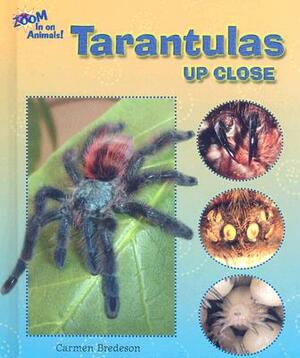 Tarantulas Up Close by Carmen Bredeson