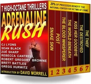 Adrenaline Rush by Zoë Sharp, Rebecca Cantrell, Robert Gregory Browne, Sean Black, Brett Battles, David Morrell, C.J. Lyons, Gregg Hurwitz