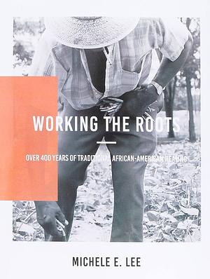 Working The Roots: Over 400 Years of Traditional African American Healing by Michelle Lee