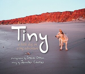 Tiny: A Little Dog on a Big Adventure by Jennifer Castles