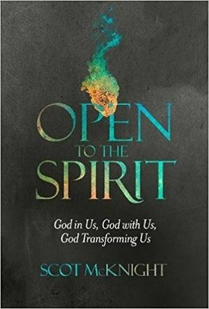 Open to the Spirit: God in Us, God with Us, God Transforming Us by Scot McKnight