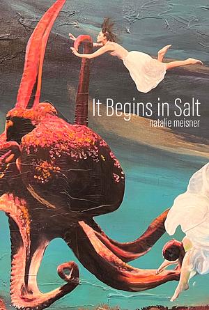 It Begins in Salt by Natalie Meisner