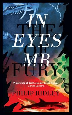 In the Eyes of Mr Fury by Philip Ridley