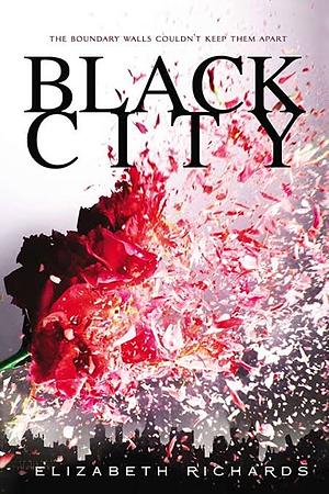 Black City by Elizabeth Richards