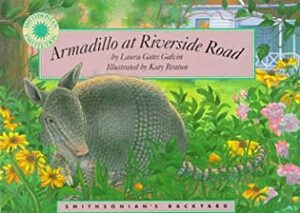 Armadillo At Riverside Road (Smithsonian Backyard) by Laura Gates Galvin