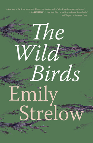 The Wild Birds by Emily Strelow