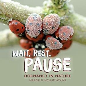 Wait, Rest, Pause by Marcie Flinchum Atkins