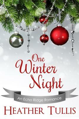 One Winter Night by Heather Tullis