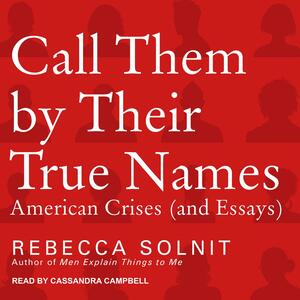 Call Them By Their True Names: American Crises (and Essays) by Rebecca Solnit