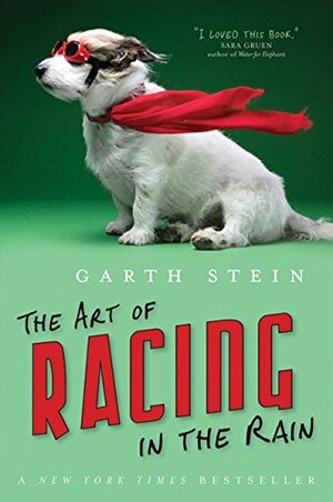The Art of Racing in the Rain by Garth Stein