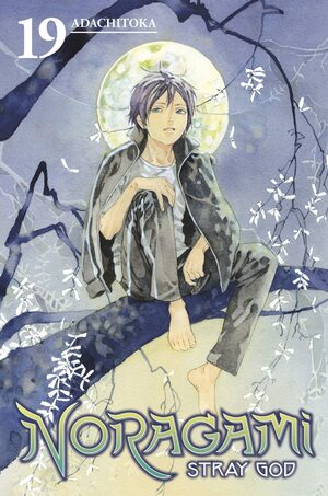 Noragami: Stray God, Vol. 19 by Adachitoka