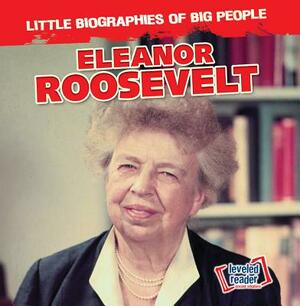 Eleanor Roosevelt by Joan Stoltman
