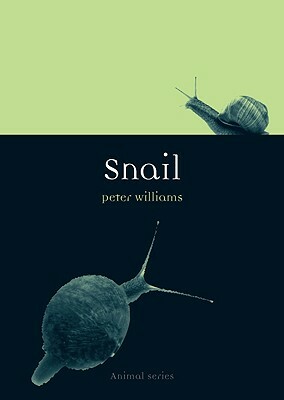 Snail by Peter Williams