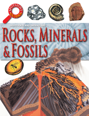 Rocks, Minerals & Fossils by Neil Curtis