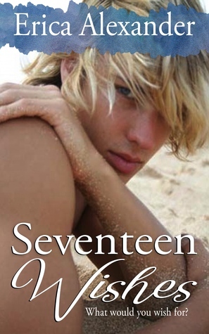 Seventeen Wishes by Erica Alexander