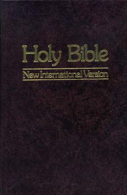Holy Bible: New International Version by 