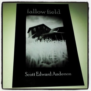 Fallow Field by Scott Edward Anderson