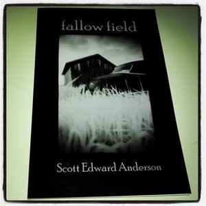Fallow Field by Scott Edward Anderson