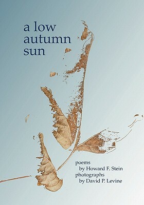 A Low Autumn Sun by David P. Levine, Howard Stein