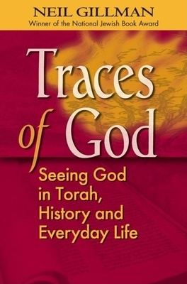 Traces of God: Seeing God in Torah, History and Everyday Life by Neil Gillman