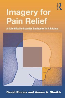 Imagery for Pain Relief.: A Scientifically Grounded Guidebook for Clinicians by David Pincus, Anees A. Sheikh