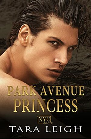 Park Avenue Princess by Tara Leigh