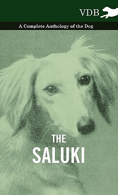 The Saluki - A Complete Anthology of the Dog by Various