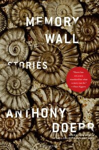 Memory Wall by Anthony Doerr