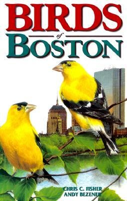Birds of Boston by Andy Bezener, Chris Fisher