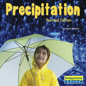 Precipitation by Terri Sievert