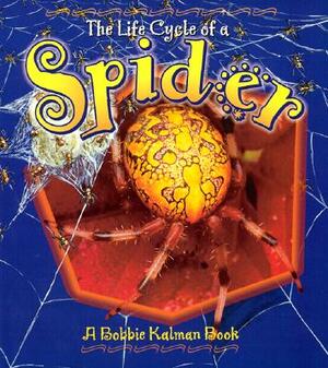 Spider by Bobbie Kalman