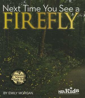 Next Time You See a Firefly by Emily Morgan