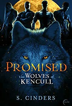 Promised by S. Cinders