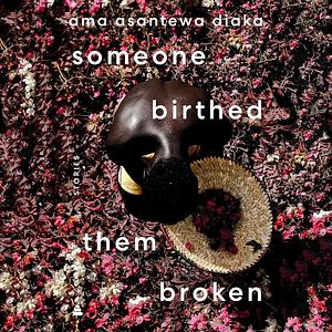 Someone Birthed Them Broken: Stories by Ama Asantewa Diaka