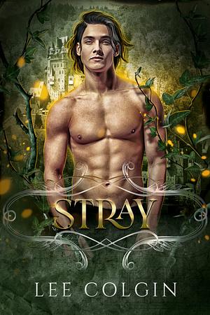 Stray by Lee Colgin